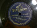 Bluebird 30-0822